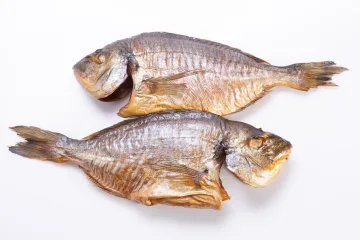 Dorado "Dennis"